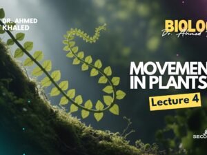 Plant (YouTube Thumbnail) (4)