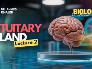 Plant (YouTube Thumbnail)