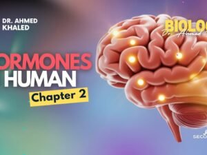 WhatsApp Image 2025-10-31 at 9.03.22 PM