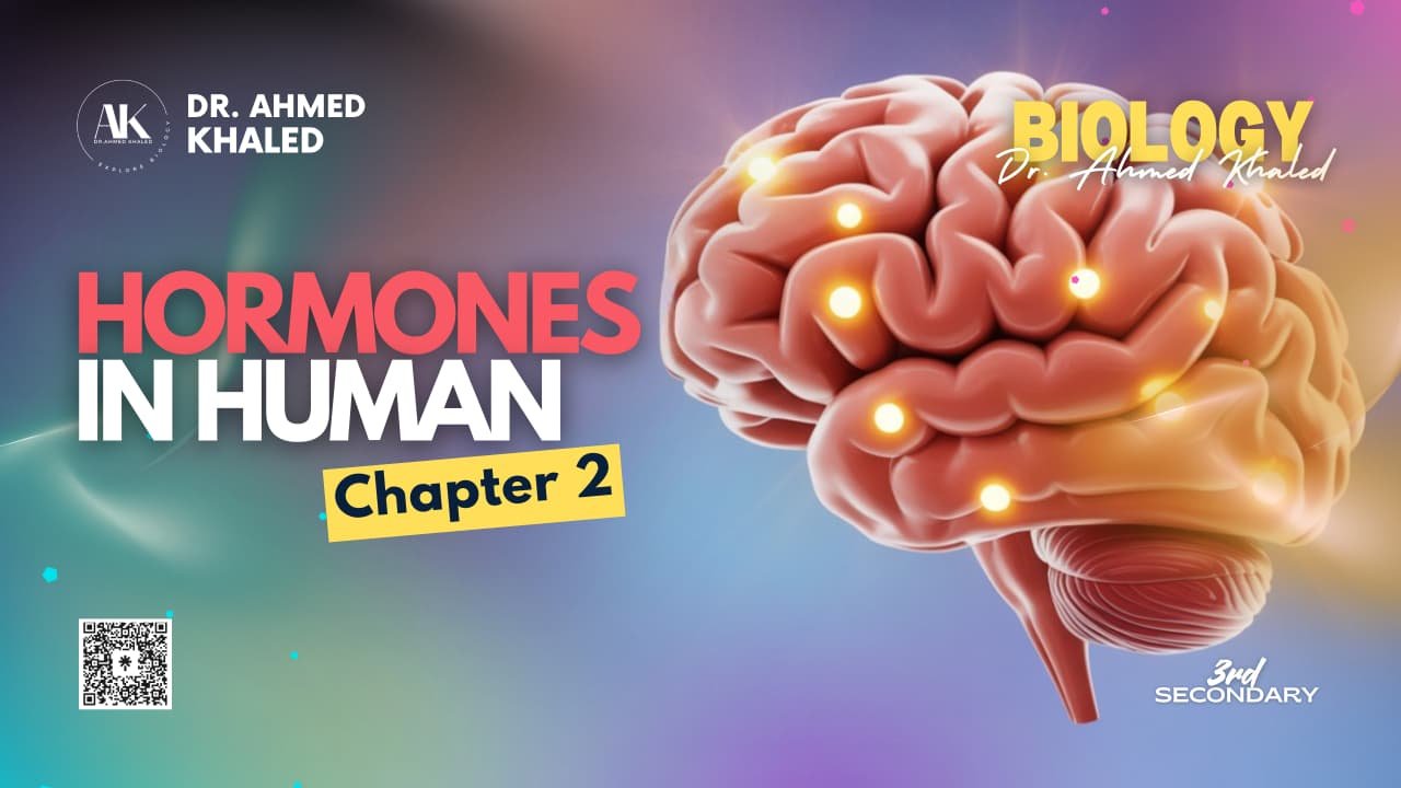 WhatsApp Image 2025-10-31 at 9.03.22 PM