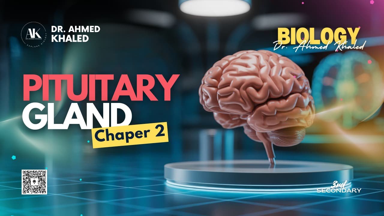 WhatsApp Image 2025-10-31 at 9.07.39 PM