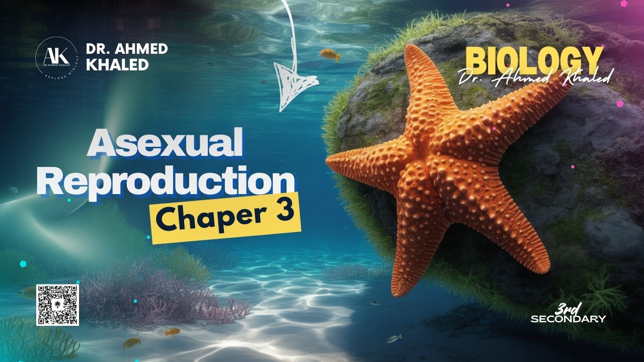 Plant (YouTube Thumbnail) (6)