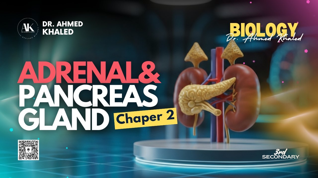 Plant (YouTube Thumbnail)