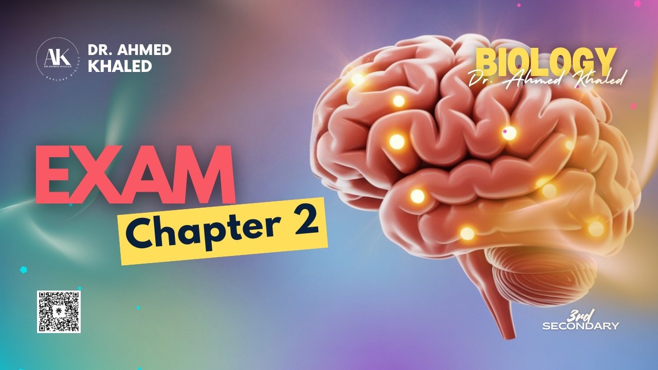 Plant (YouTube Thumbnail)_20251128_141436_0000