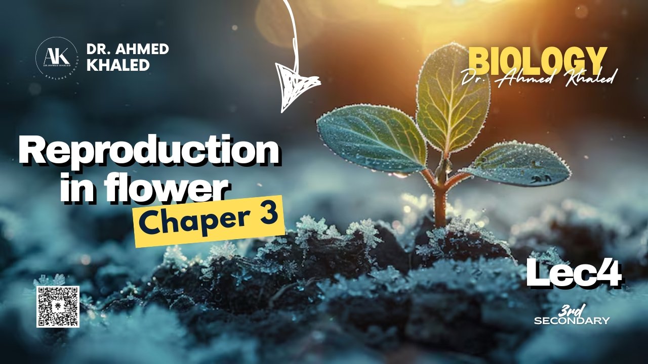 Plant (YouTube Thumbnail) (1)