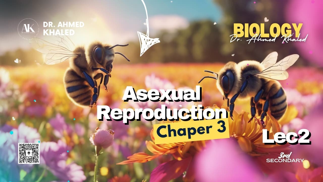 WhatsApp Image 2025-12-05 at 19.03.30_d9013215