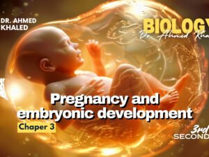 Plant (YouTube Thumbnail)