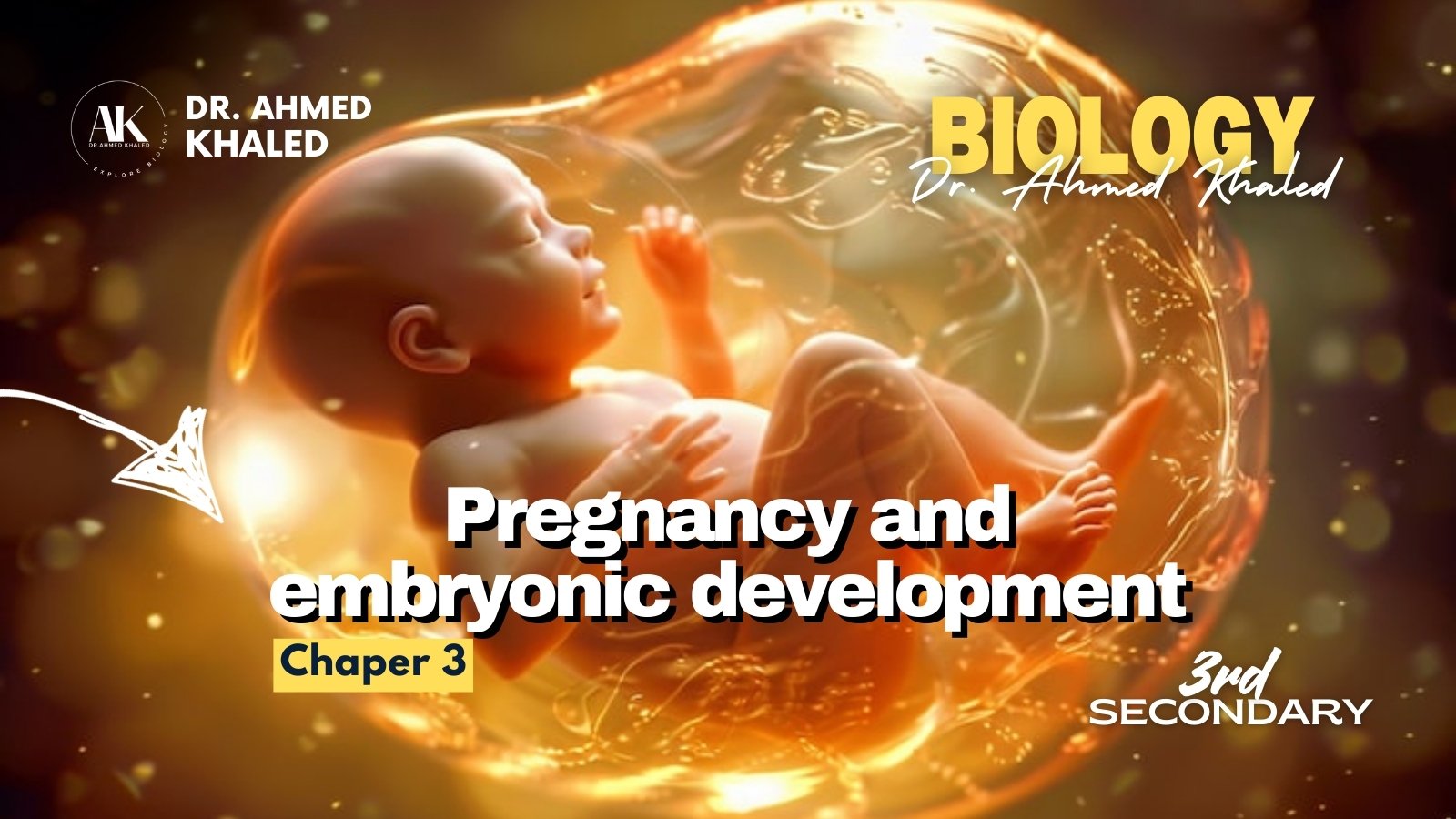 Plant (YouTube Thumbnail)