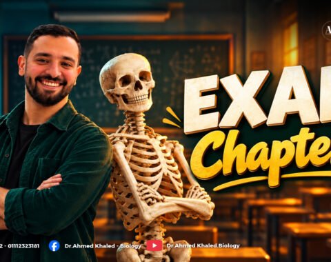 Exam – Chapter 1