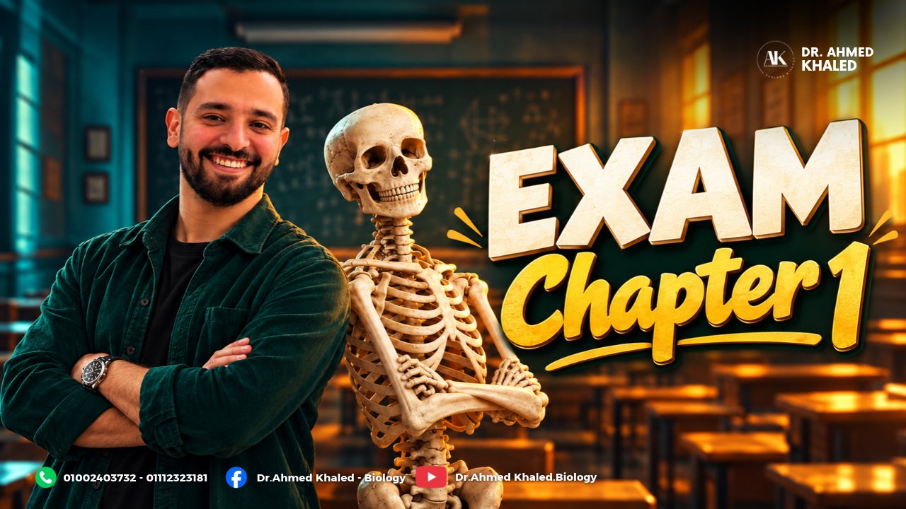 (YouTube Thumbnail) (1)
